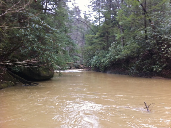 Swift Camp Creek Trail - 5